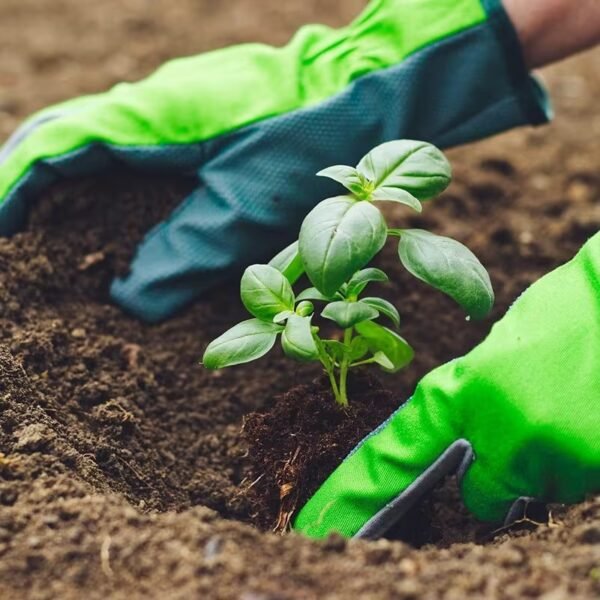 Second image of Growmoor Multi-Purpose Compost 2x60L Garden Soil Plant Potting Mix